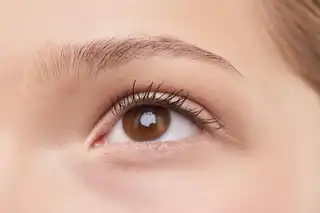 Laminación de cejas
